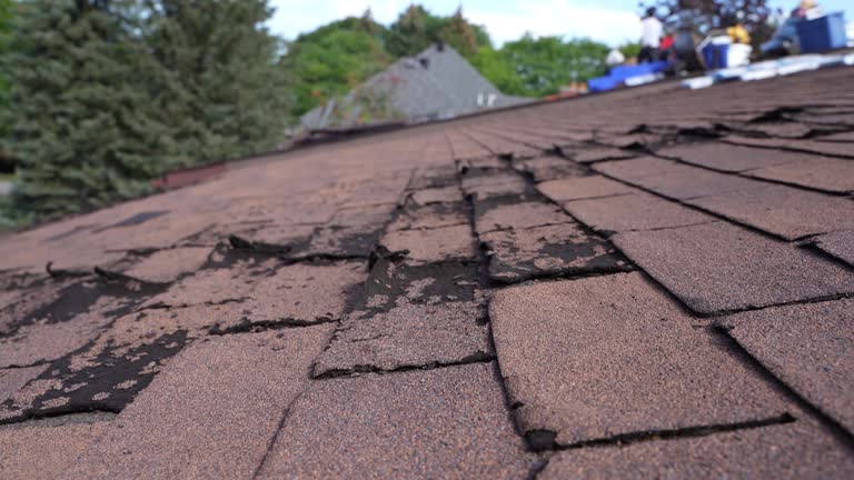 Best Wood Shake Roofing  in Martinsburg, PA