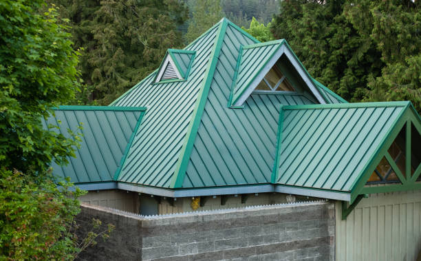 Best Roof Moss and Algae Removal  in Martinsburg, PA