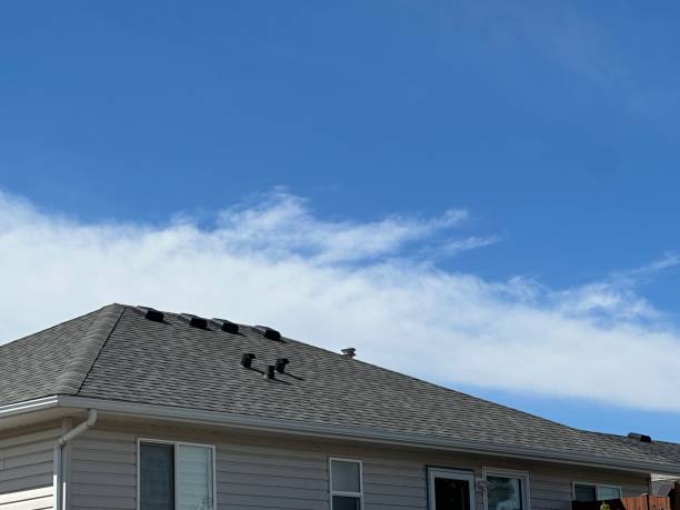Best Gutter Installation and Repair  in Martinsburg, PA